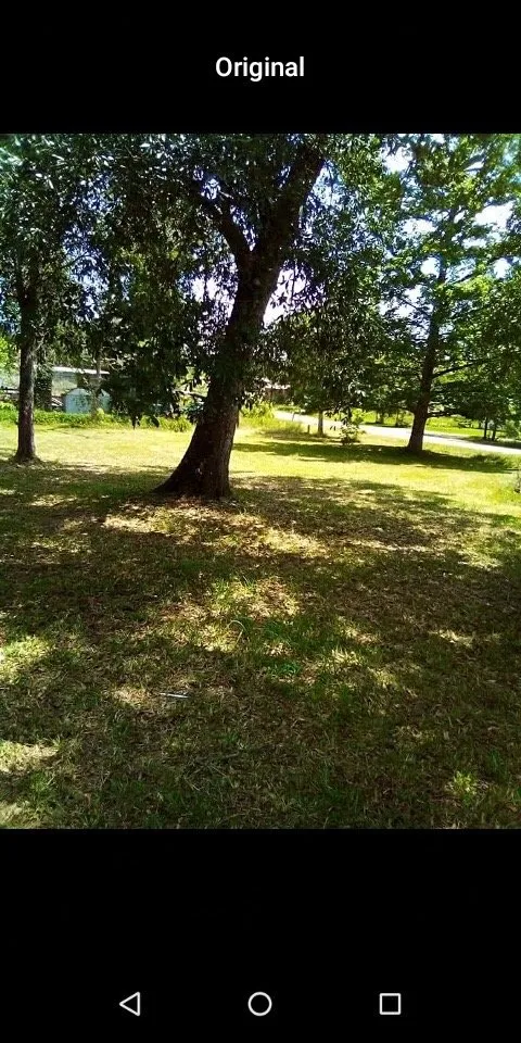 Expert outdoor landscaping in Huntsville, TX - Johnson's Landscaping