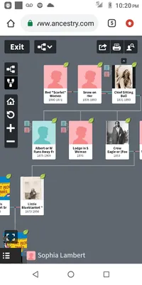 Johnson's Landscaping Logo