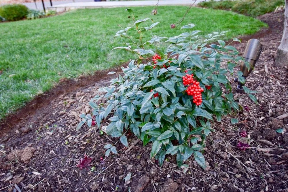 Trusted garden landscaping near you across Olney, MD - Johnson's Landscaping Service