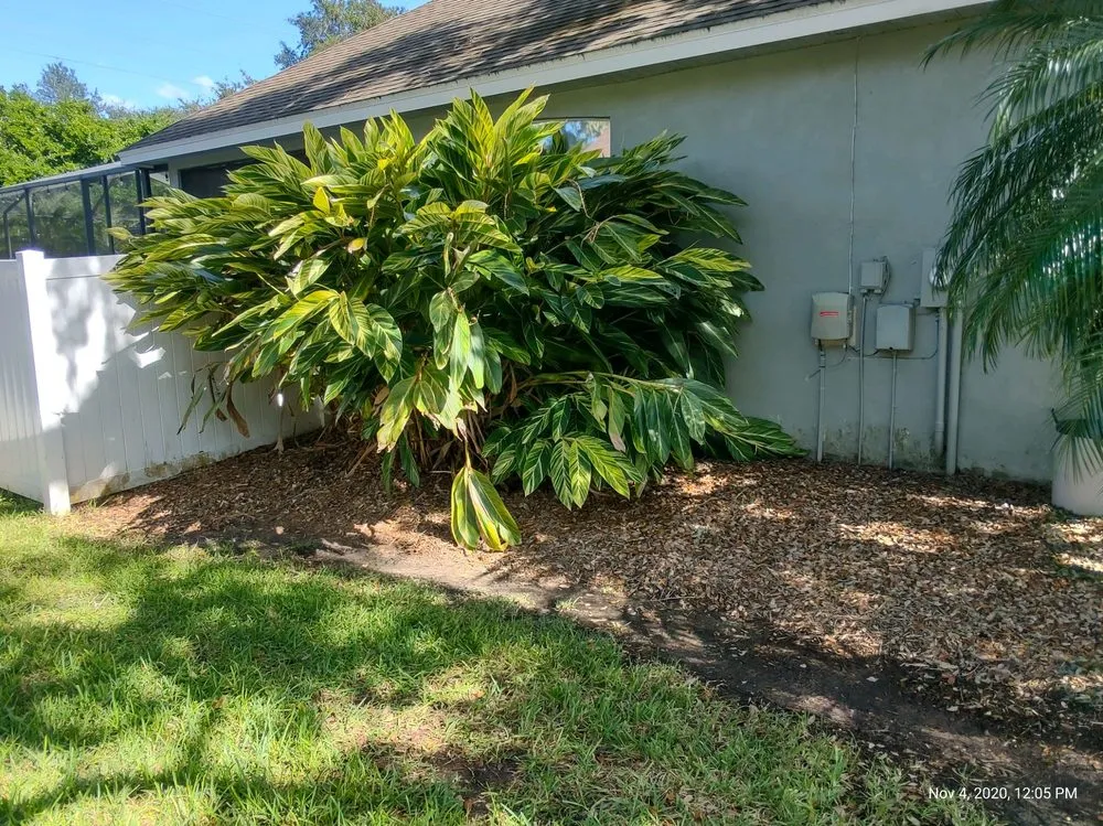 Local outdoor landscaping for year-round maintenance in Zephyrhills, FL by Johnsons Lawn and Landscape inc.