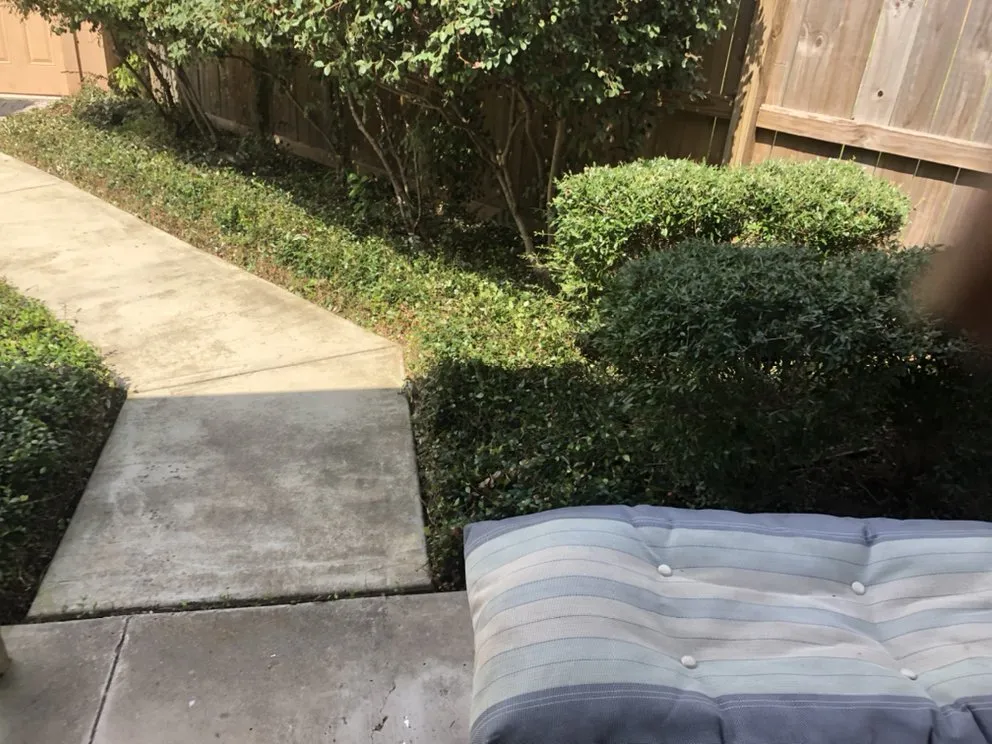 Professional landscape installation in Sugar Land, TX - Johnson’s Lawn And Welding Services