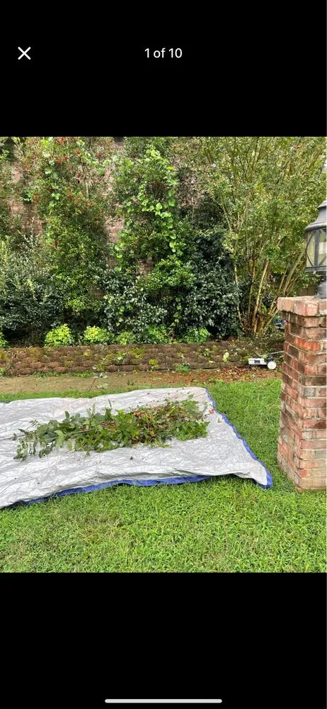 Top-rated lawn mowing service experts serving Lexington, NC - Johnson’s Lawn Care & Junk Removal