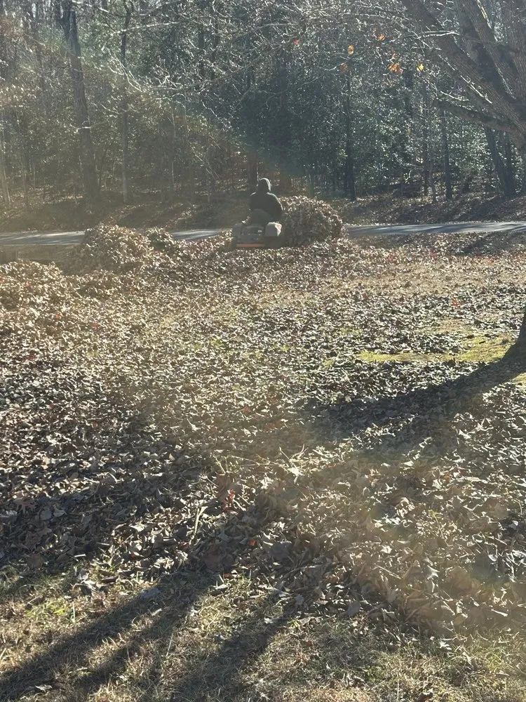 Expert landscape installation for outdoor upgrades across Lexington, NC - Johnson’s Lawn Care & Junk Removal