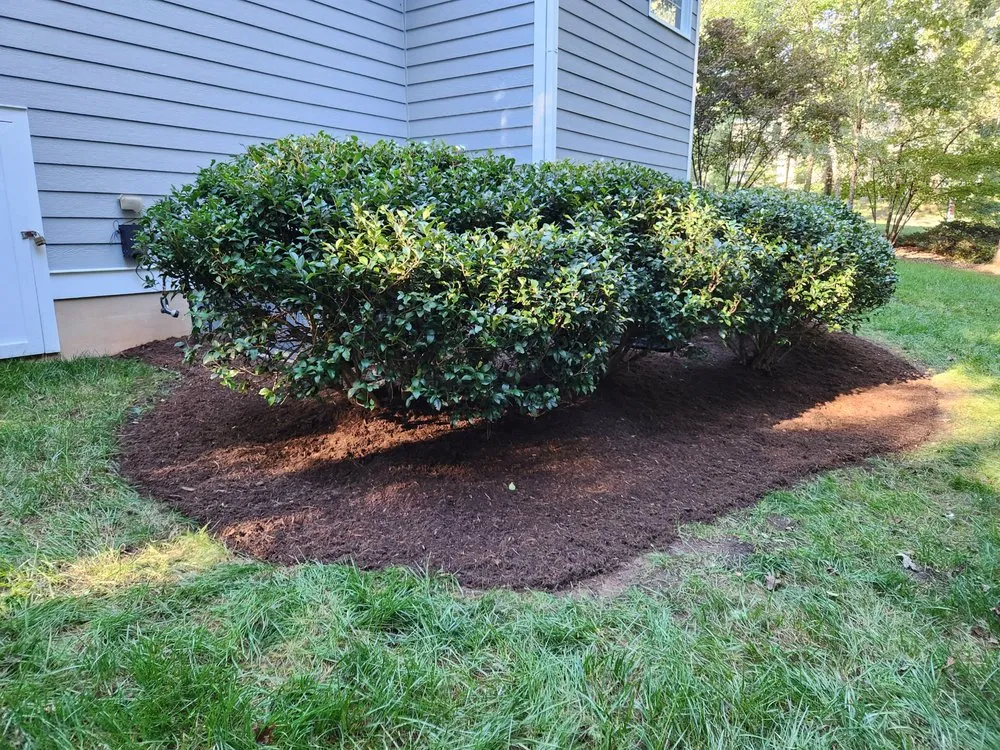 Custom lawn mowing service in Franklinton, NC - Johnson's Lawn Care & landscaping