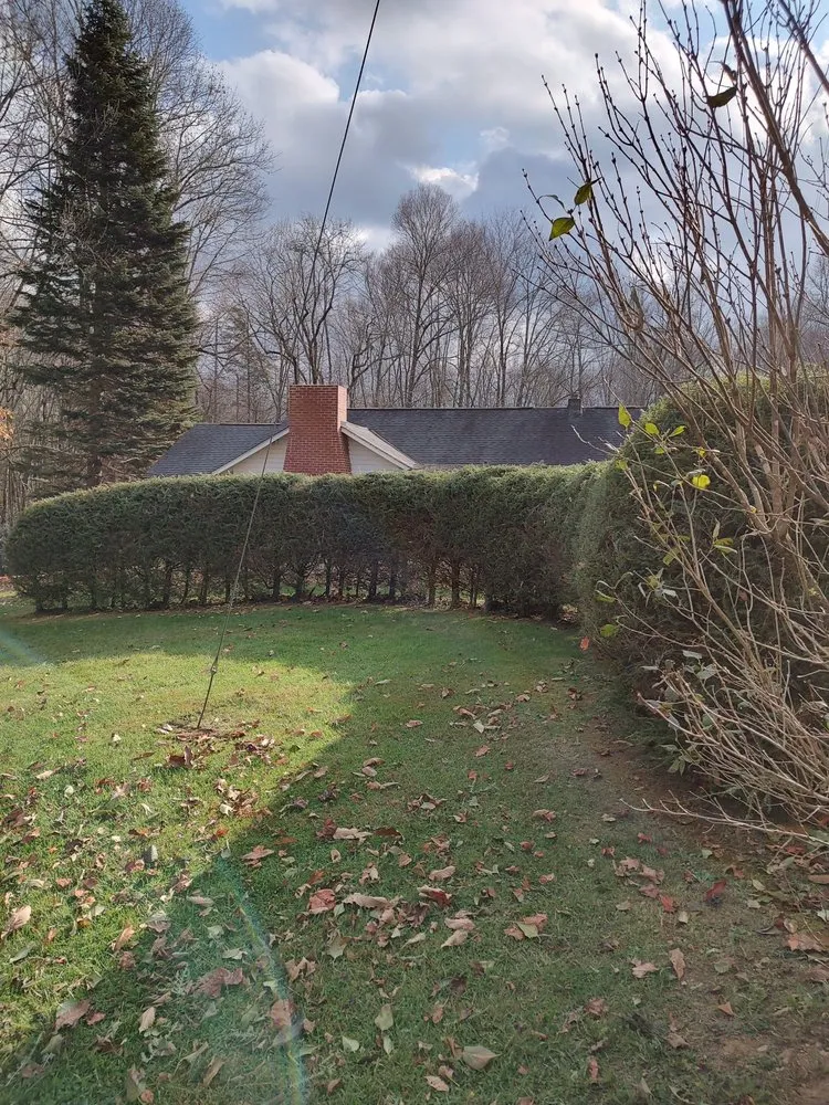 Professional garden landscaping in Roan Mountain, TN by Johnson's Lawn Care