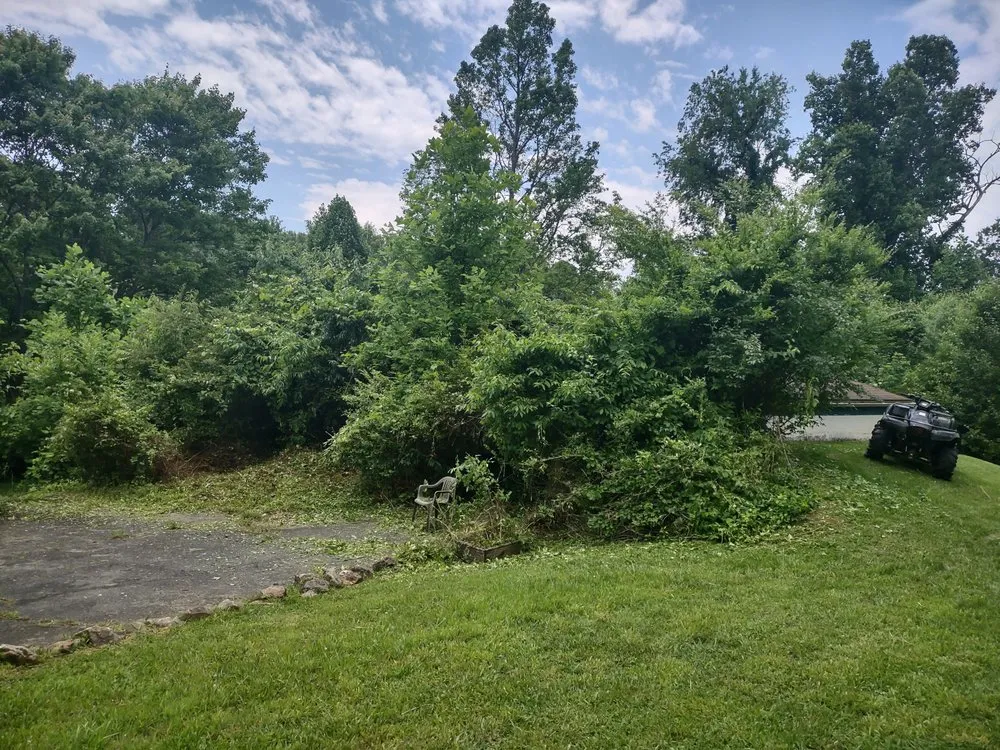 Trusted lawn care service in Roan Mountain, TN by Johnson's Lawn Care