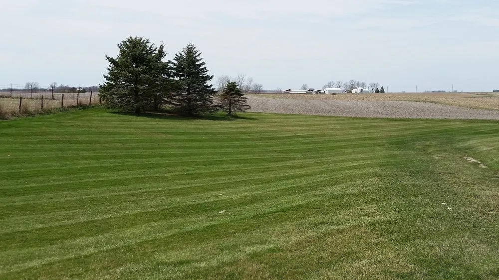 Trusted yard cleanup service in West Point, IA by Johnson's Lawn Care