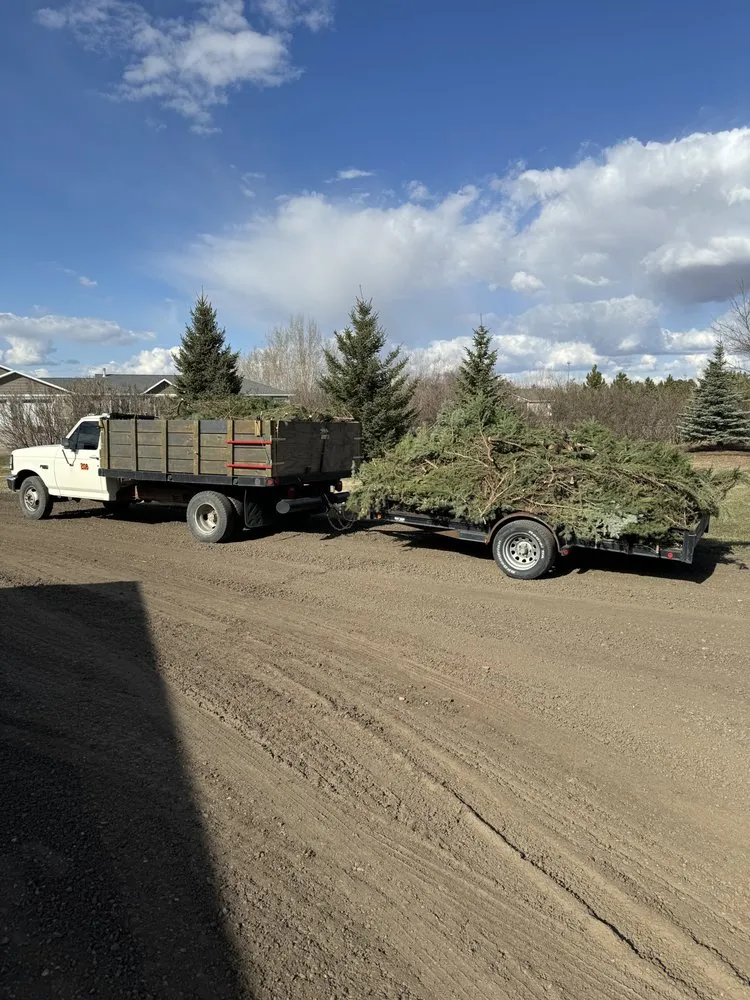 Affordable landscape design in Bismarck, ND - Johnson’s Lawn Service