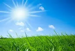 Local landscaping services experts serving Winter Haven, FL - Johnsons Lawn Service