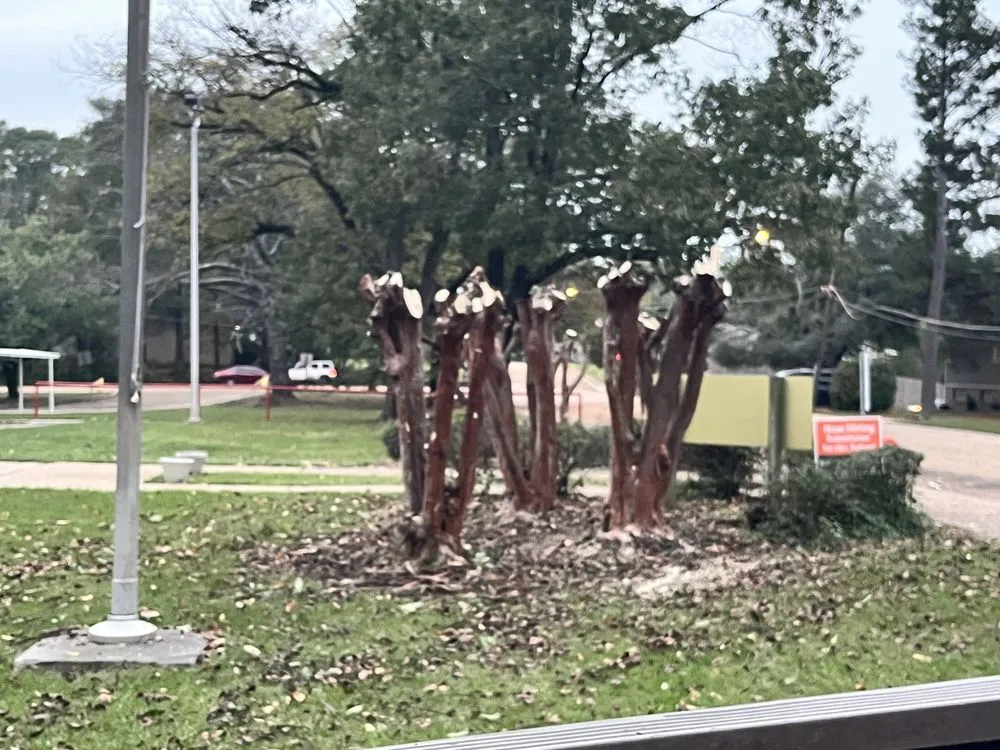 Reliable landscape design for outdoor upgrades in Little Elm, TX by Johnsons Lawncare