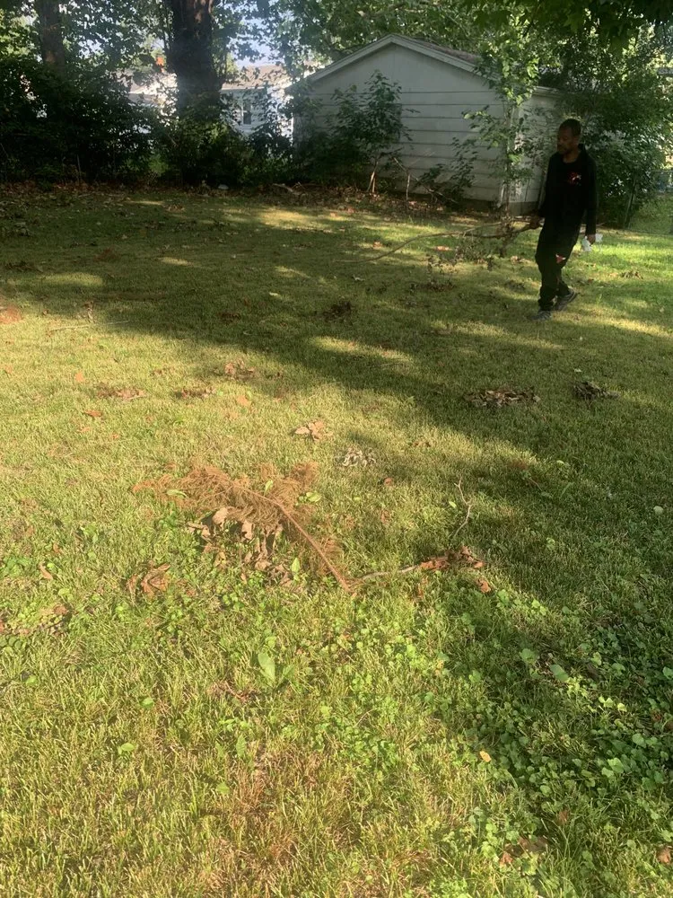 Local landscaping services for homes across Springfield, IL - Johnson’s Lawncare Service’s & More