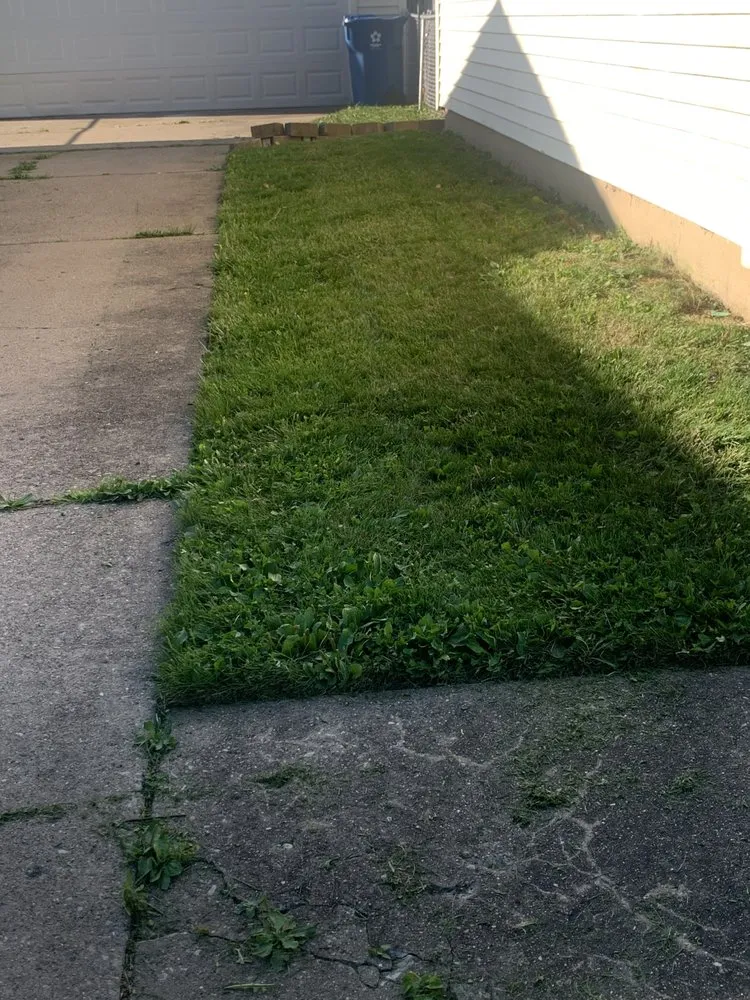 Expert yard cleanup service for residential properties in Springfield, IL by Johnson’s Lawncare Service’s & More