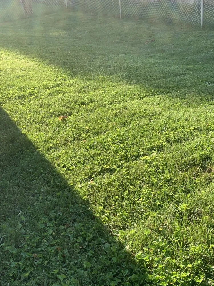 Affordable yard maintenance with custom design across Springfield, IL - Johnson’s Lawncare Service’s & More