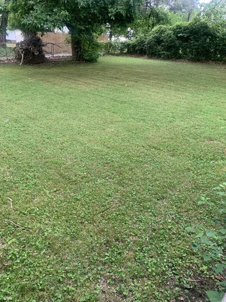 Expert residential landscaping near you across Springfield, IL - Johnson’s Lawncare Service’s & More