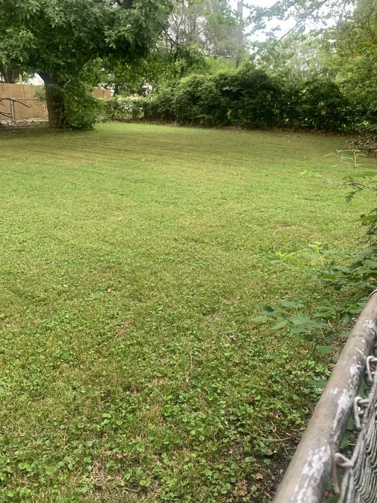 Professional lawn mowing service for year-round maintenance in Springfield, IL by Johnson’s Lawncare Service’s & More