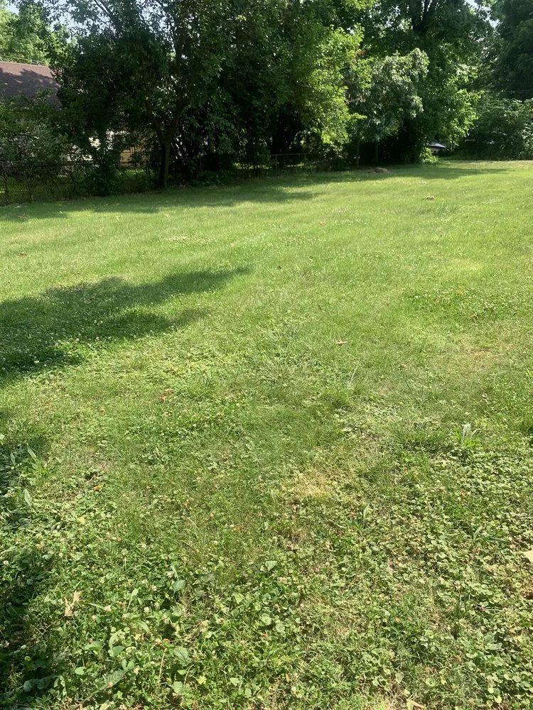 Local residential landscaping near you in Springfield, IL by Johnson’s Lawncare Service’s & More