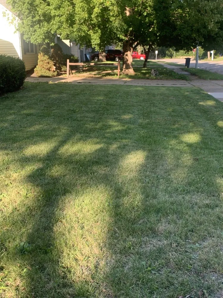 Local yard cleanup service in Springfield, IL by Johnson’s Lawncare Service’s & More