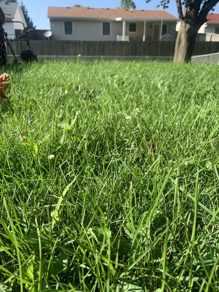 Local landscaping services in Springfield, IL by Johnson’s Lawncare Service’s & More