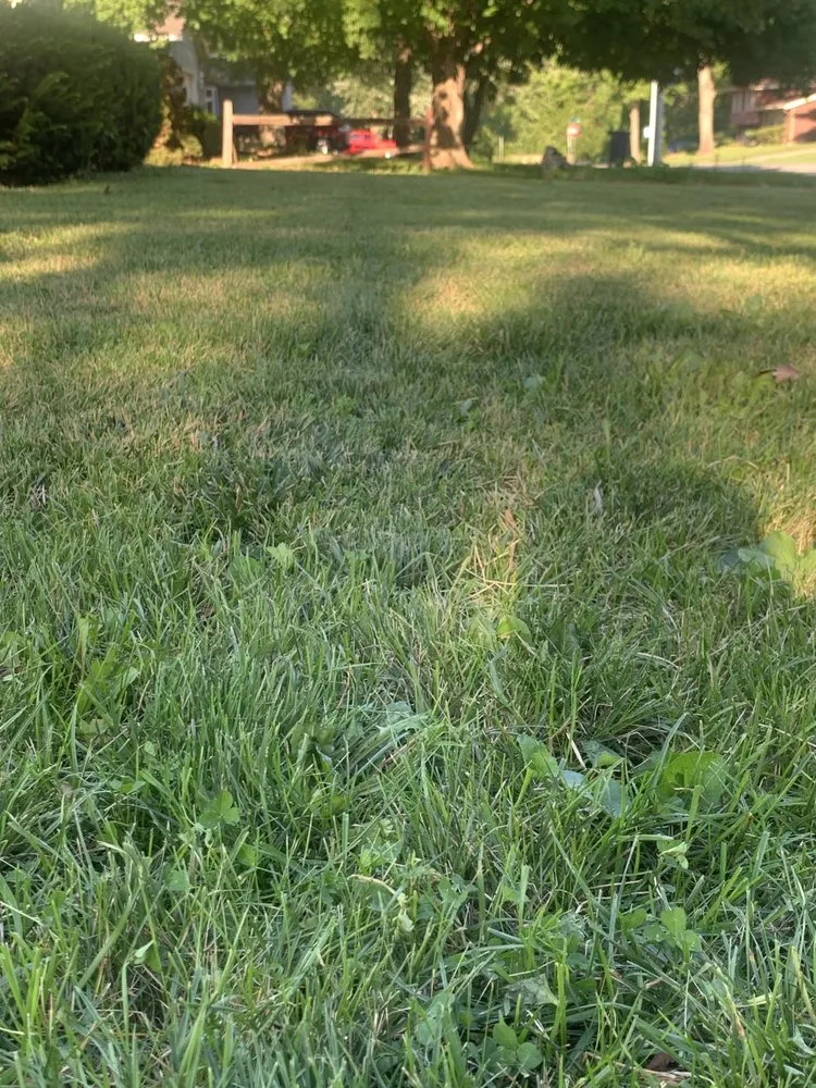 Expert garden landscaping experts serving Springfield, IL - Johnson’s Lawncare Service’s & More