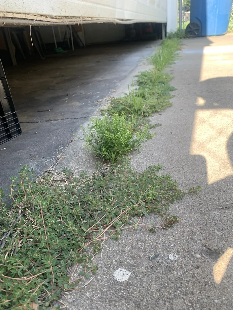 Local landscaping services for residential properties in Springfield, IL by Johnson’s Lawncare Service’s & More