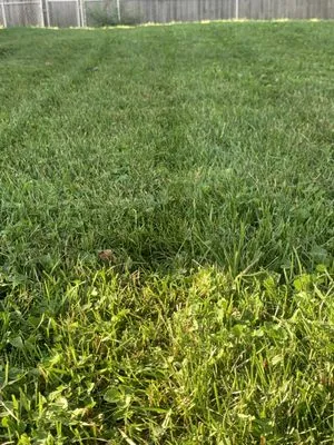 Johnson’s Lawncare Service’s & More