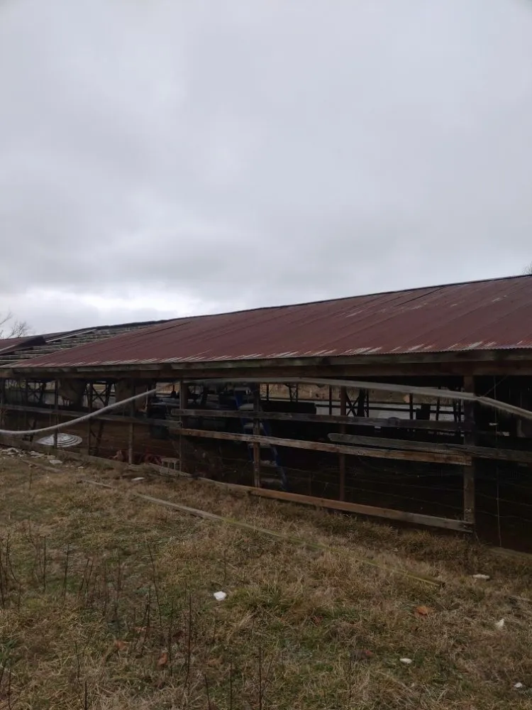 Affordable yard cleanup service for outdoor upgrades across Elkins, AR - Johnson's Lawncare Services