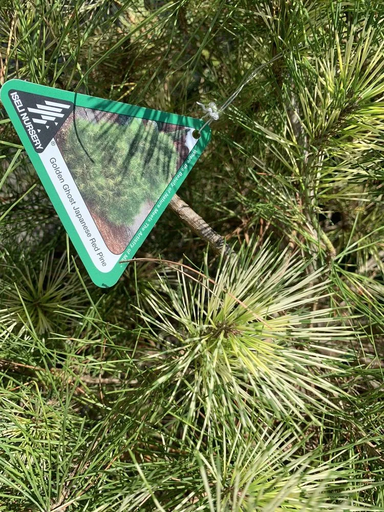 Trusted yard maintenance in East Aurora, NY - Johnson's Nursery