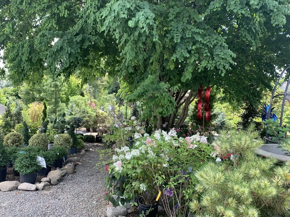 Local yard maintenance in East Aurora, NY - Johnson's Nursery