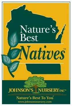 Trusted lawn care service in Menomonee Falls, WI - Johnson's Nursery