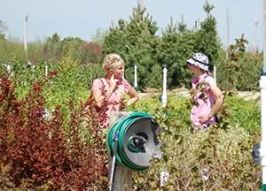 Professional landscaping services with custom design in Menomonee Falls, WI by Johnson's Nursery