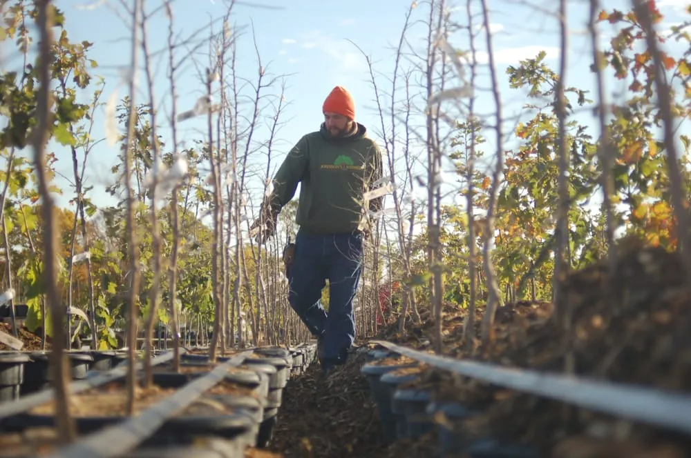 Professional lawn care service in Menomonee Falls, WI by Johnson's Nursery