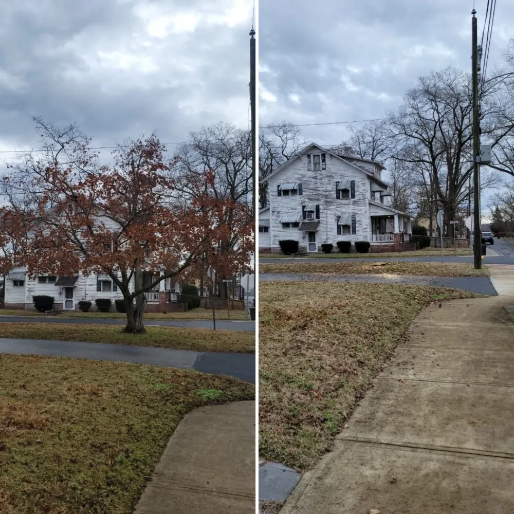 Trusted landscape installation experts serving Salisbury, MD - Johnson's Property Maintenance