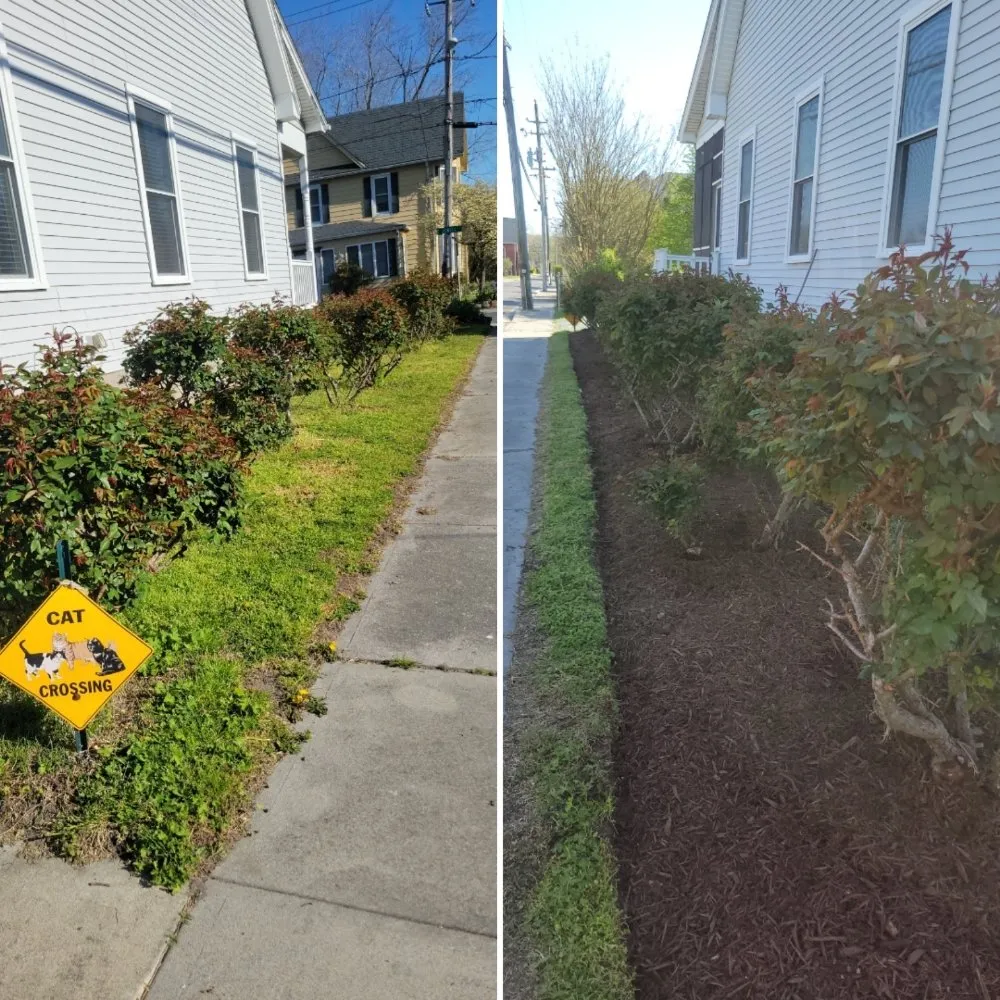 Reliable yard cleanup service for outdoor upgrades in Salisbury, MD by Johnson's Property Maintenance