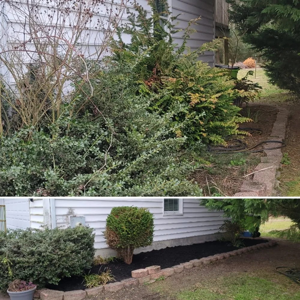 Affordable lawn care service in Salisbury, MD - Johnson's Property Maintenance