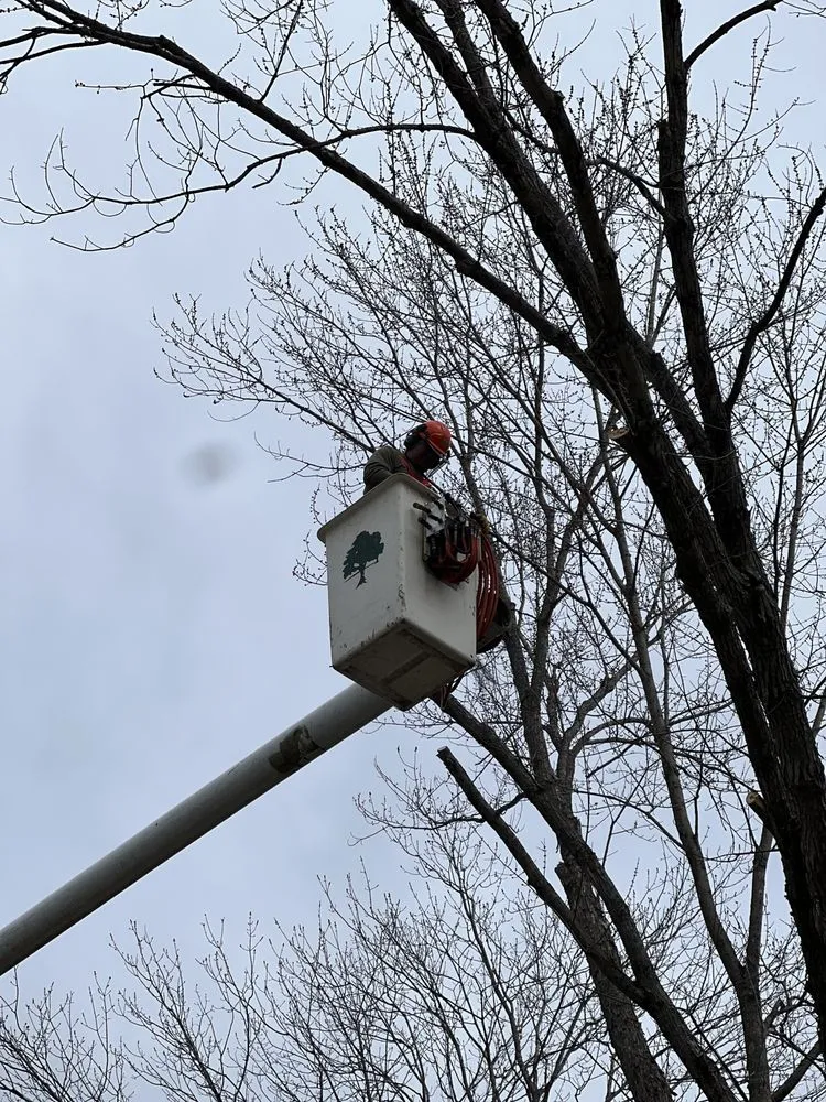 Trusted lawn care service experts serving White River Junction, VT - Johnson’s Property Services & Tree Removal