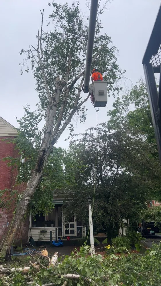 Professional residential landscaping with custom design in White River Junction, VT by Johnson’s Property Services & Tree Removal