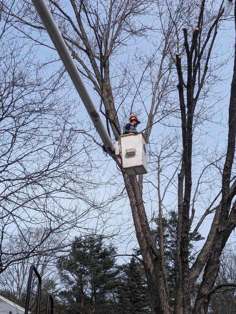 Reliable landscape installation in White River Junction, VT by Johnson’s Property Services & Tree Removal