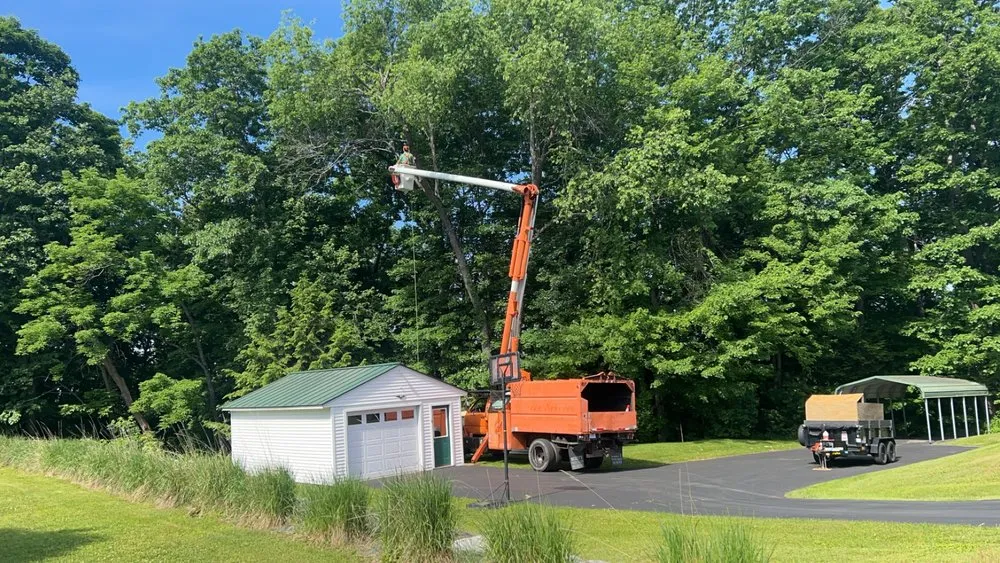 Top-rated yard cleanup service experts serving White River Junction, VT - Johnson’s Property Services & Tree Removal