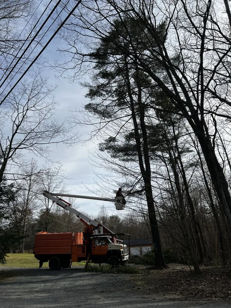 Custom garden landscaping with custom design across White River Junction, VT - Johnson’s Property Services & Tree Removal