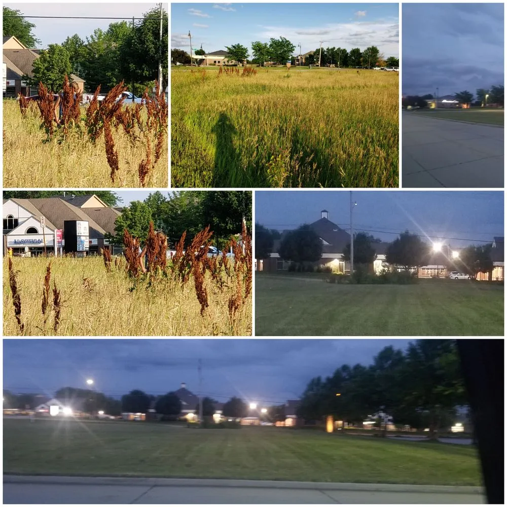 Professional yard maintenance in Omaha, NE by Johnson's Property Services