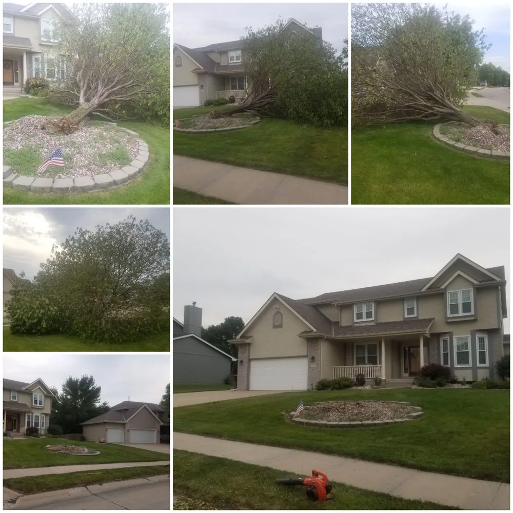 Expert landscaping services for year-round maintenance in Omaha, NE by Johnson's Property Services