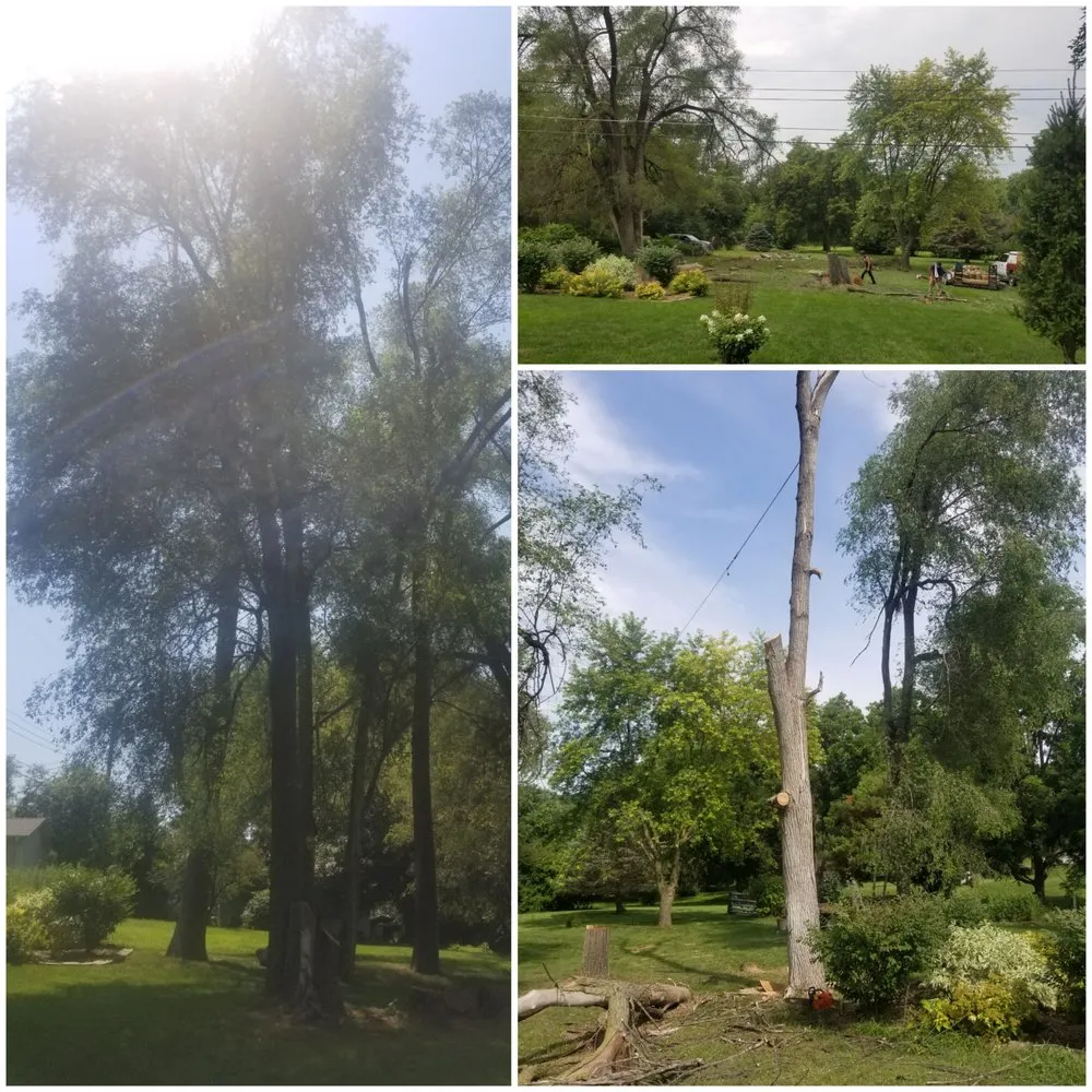 Top-rated residential landscaping near you across Omaha, NE - Johnson's Property Services