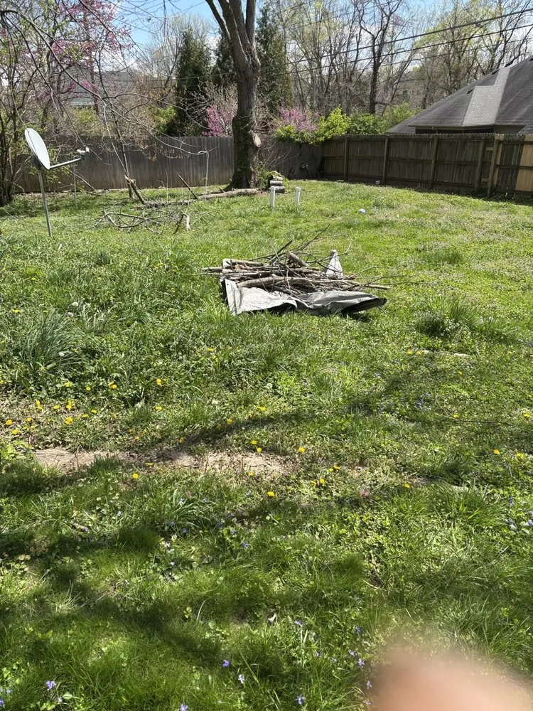 Professional yard cleanup service in Columbia, MO by Johnson’s Reliable Solutions