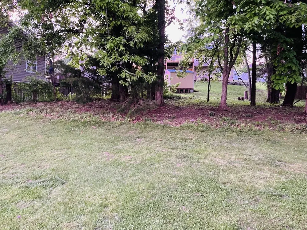 Affordable landscape installation for outdoor upgrades in Columbia, MO by Johnson’s Reliable Solutions