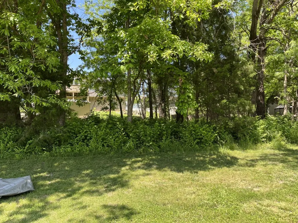 Reliable landscaping services for beautiful yards across Columbia, MO - Johnson’s Reliable Solutions