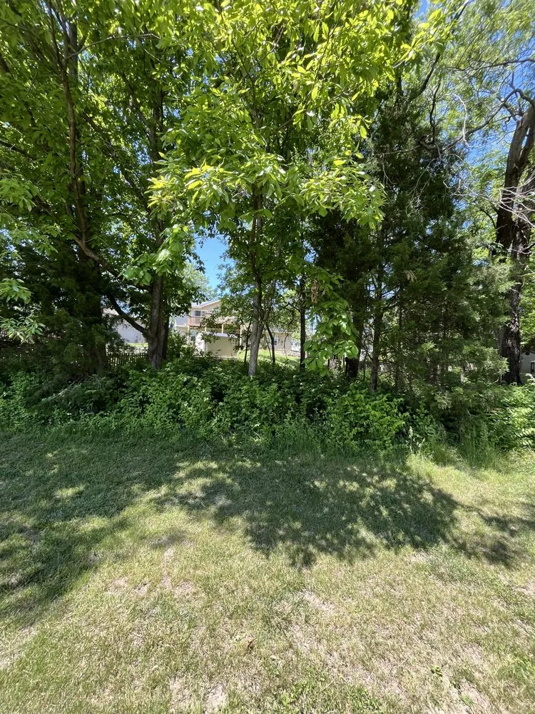 Expert lawn care service in Columbia, MO - Johnson’s Reliable Solutions