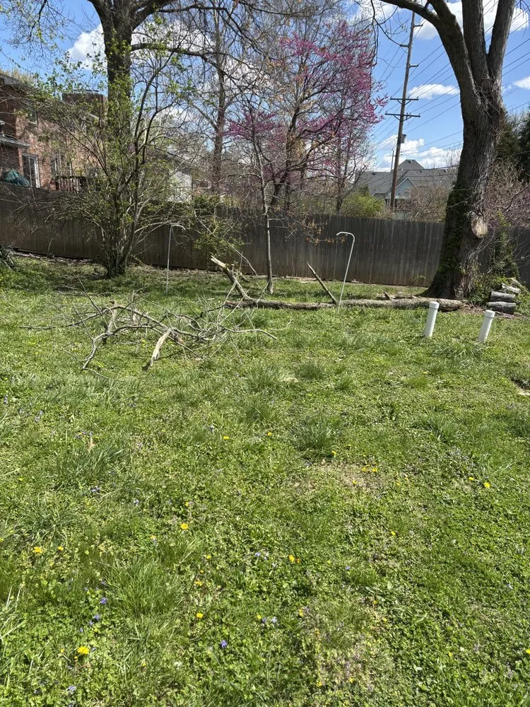 Trusted lawn mowing service in Columbia, MO by Johnson’s Reliable Solutions