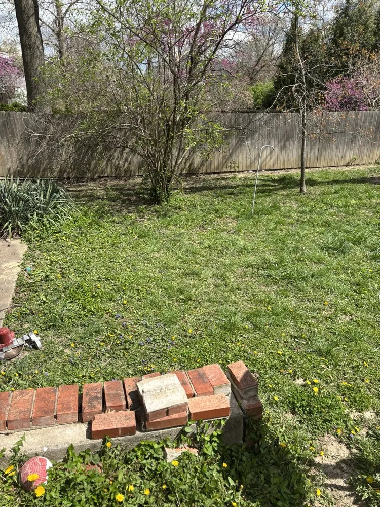 Expert lawn care service in Columbia, MO - Johnson’s Reliable Solutions