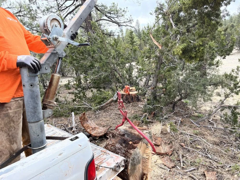 Reliable garden landscaping for residential properties across Holbrook, AZ - Johnsons Services