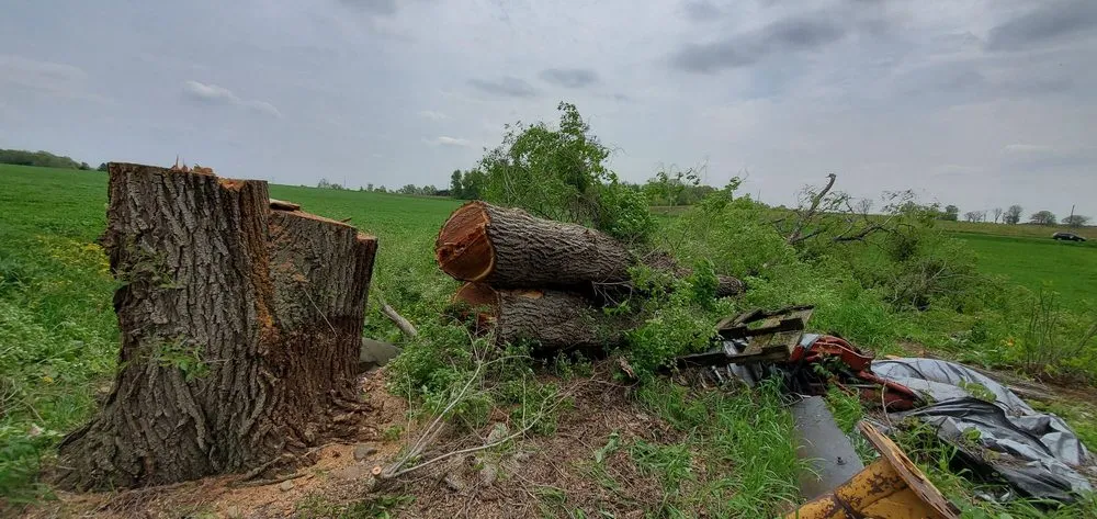 Affordable yard cleanup service for outdoor upgrades in Amery, WI by Johnson's Tree and Landscape LLC